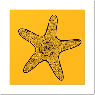 Sea Star or Starfish - beach lovers animal design Posters and Art